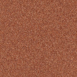 Spice