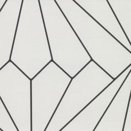 Black Diamond