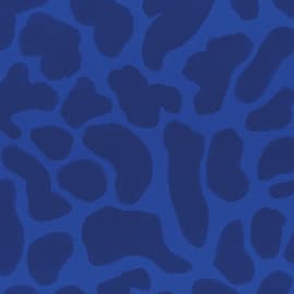 Radiant Blue