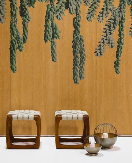 Infused Veneer