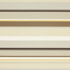 Anywhere 371 80 Oasis