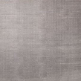 Brush With Fame Silver Point