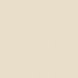 Celebrity CV Domino