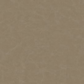 Celebrity CV Quarry