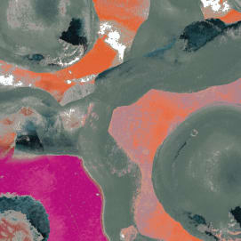 Fleur Wildflower Garden