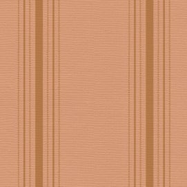 Stitched Stripe Persimmon