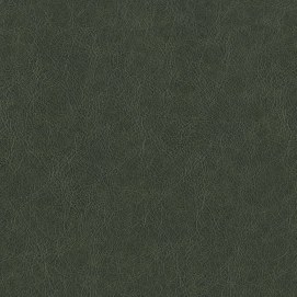 Terraleather Evergreen