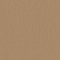 Vicuna