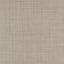 Tokyo Taupe