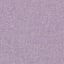 Aster