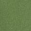 Lawn