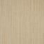 Nettle