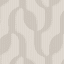 Cowrie Shell