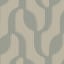 Dichondra Green