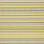 12 Yellow Multi