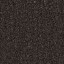 Coal