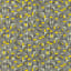 Fizz