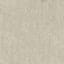 Parchment