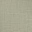 Quantum