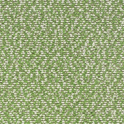 74 Grass White