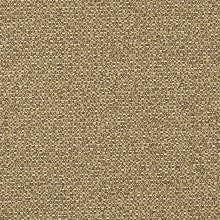 Cork