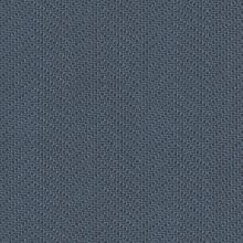 Blue Mahoe