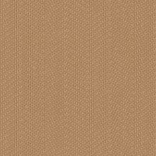 Sapele