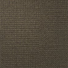 Cacao
