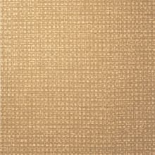 Maize