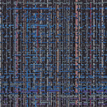 55 Black and Blue