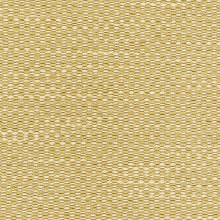 Barley