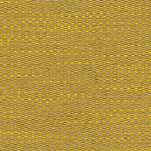 Goldenrod