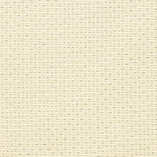 Parchment