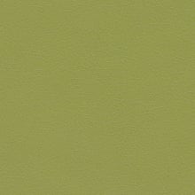Kiwi Green