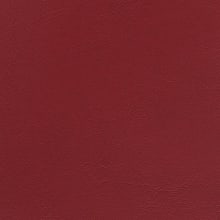Raspberry