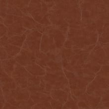 Pigment