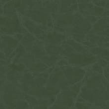 Viridian
