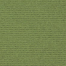 Moss
