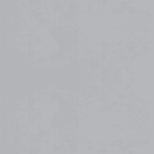 Winter Gray