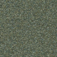 Moss