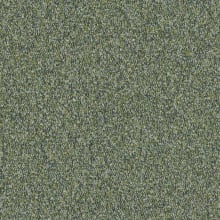 Moss