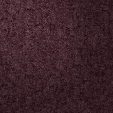 Boysenberry