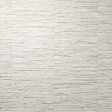 Oyster Shell