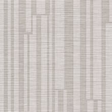 Birch