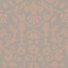 Bahama Apricot