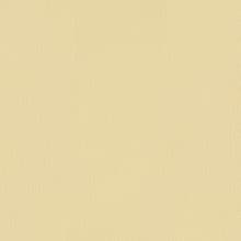 15 Cornsilk