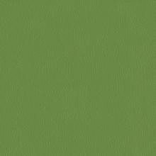 74 Ginkgo