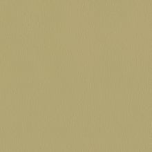 79 Khaki