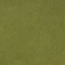 Grass