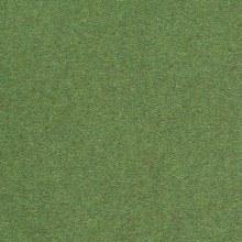 Lawn